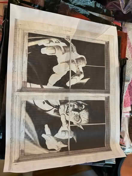 Photo of free Window covers Dracula (Downers Grove) #1