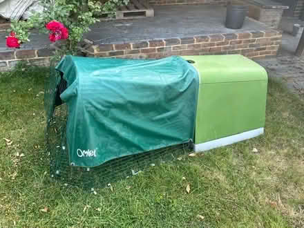 Photo of free Omlet Guinea Pig House (Haywards Heath RH16) #1