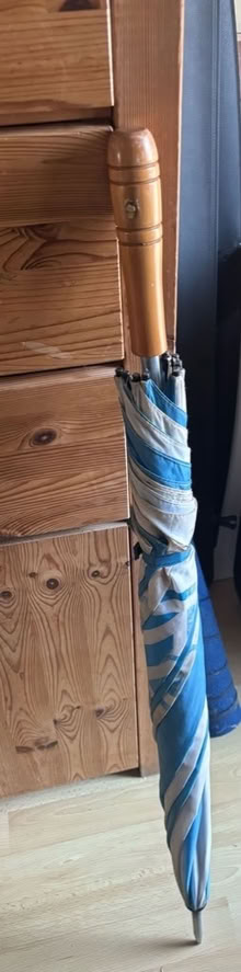 Photo of free Large umbrella (Otham ME15) #1