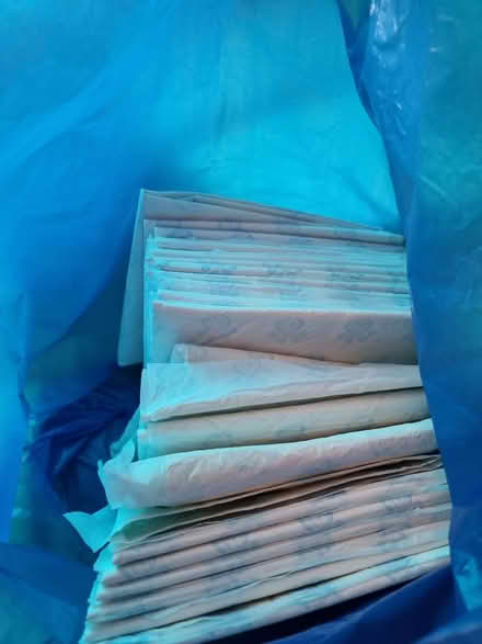 Photo of free Puppy training pads (Steventon OX13) #2