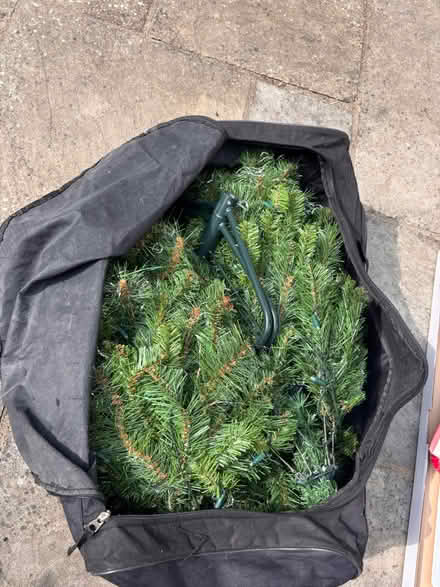 Photo of free 5 Ft artificial christmas tree (UpperHale GU9) #1