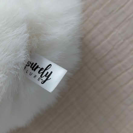 Photo of free Small/medium rabbit plush (Union City) #3