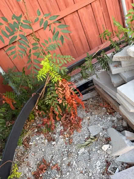 Photo of free Edging step stones miscellaneous (Far north dallas) #4