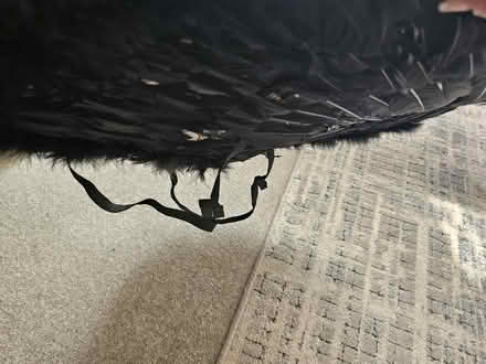 Photo of free Child/adult black wings (Stevenage SG1) #3