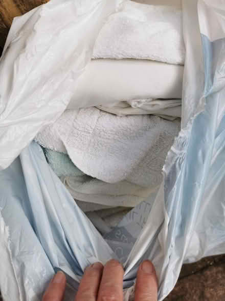 Photo of free Old towels/sheets for animal rescue (Leighton Buzzard LU7) #1