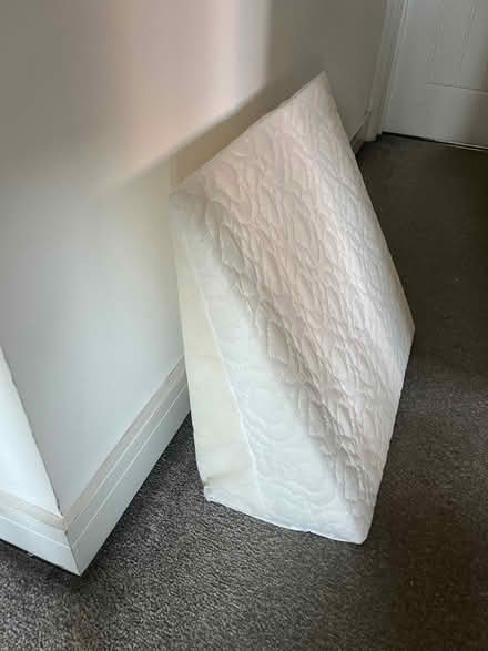 Photo of free Back suuport (Coventry CV4) #2