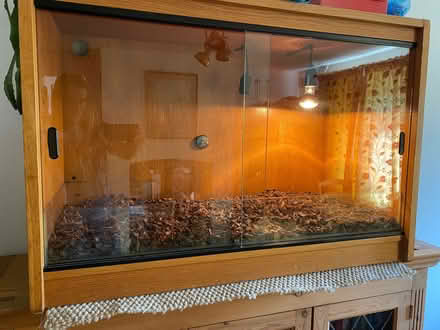 Photo of free Vivarium (Chaddleworth RG20) #3