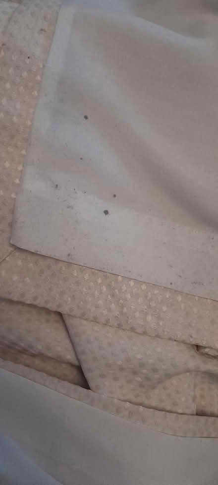 Photo of free Curtains (Near Binley fire station CV2) #3