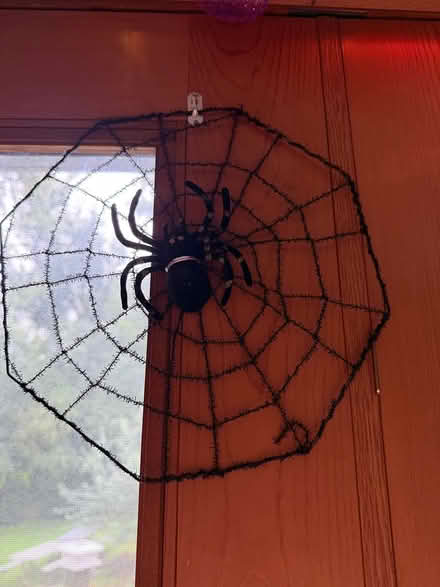 Photo of free Small spider web 12” (Downers Grove) #1