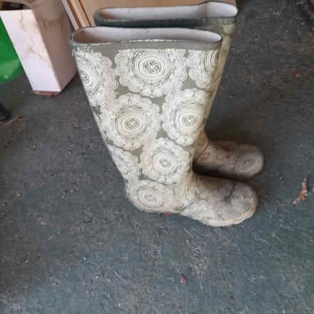 Photo of free Ladies Wellies (Central Presteigne) #1