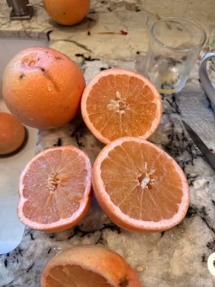 Photo of free Sweet X-lg grapefruit (Glendora ca) #1