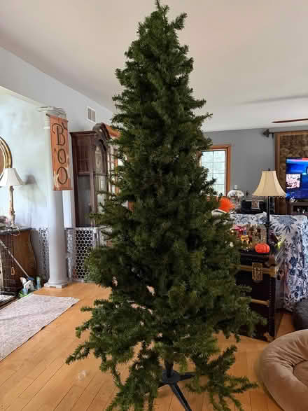Photo of free 7’ Christmas tree (Downers Grove) #1