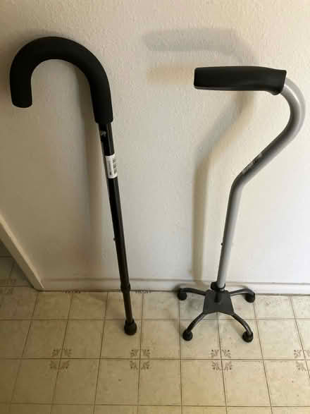 Photo of free Canes (Milpitas) #1