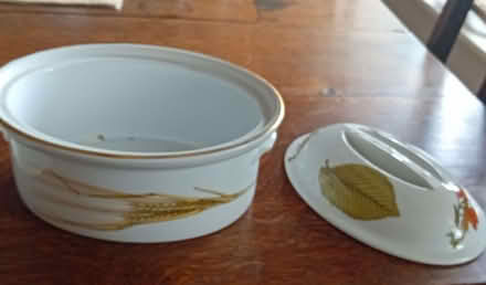 Photo of free Two Royal Worcester Wild harvest dishes with repair as shown (Kingston Hill ST18) #2