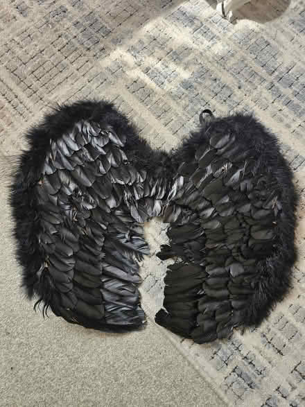 Photo of free Child/adult black wings (Stevenage SG1) #1