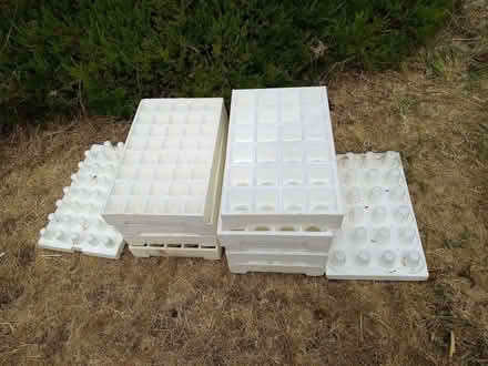 Photo of free Polystyrene seed trays (West Worthing BN13) #2