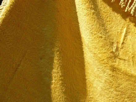 Photo of free Gold colour cotton chenille tablecloth W:50" L:72" (Kempsey WR5) #2