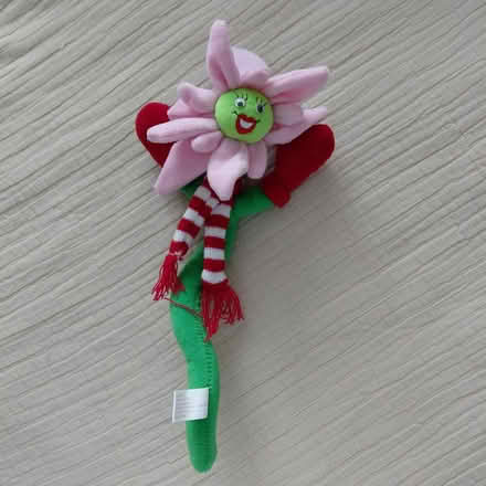 Photo of free Christmas flower (Union City) #1