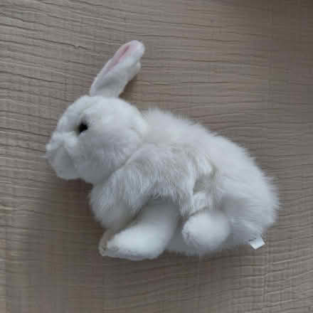 Photo of free Small/medium rabbit plush (Union City) #1