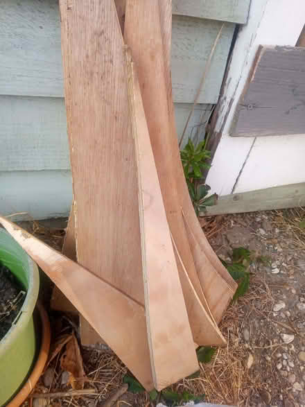 Photo of free Plywood offcuts (Colchester CO4) #2