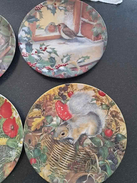 Photo of free Coalport decorative plates (Belper DE56) #3