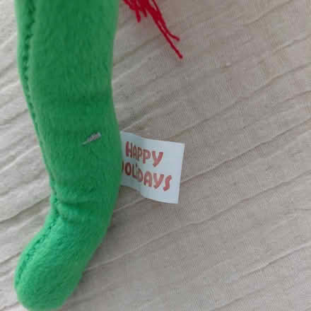 Photo of free Christmas flower (Union City) #2