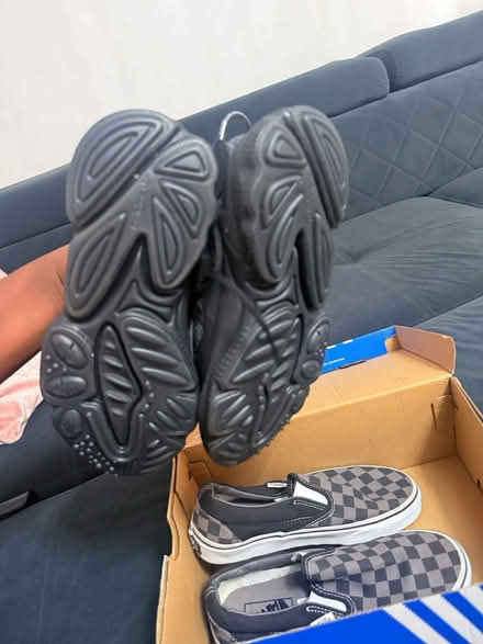 Photo of free Size 3.5 trainers (Honor oak SE23) #3