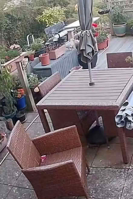 Photo of free Garden table & chairs (Conwy LL32) #1