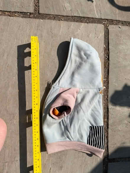Photo of free Hooded jacket for dog (Twerton, BA2) #1