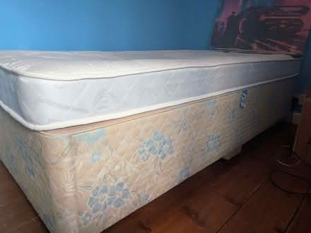Photo of free Single divan bed (Reydon IP18) #1