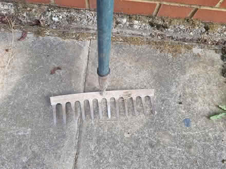 Photo of free rake (CM2 springfield, chelmsford) #2