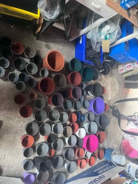 Photo of free A lot of plants lots of colours (South Dublin) #4