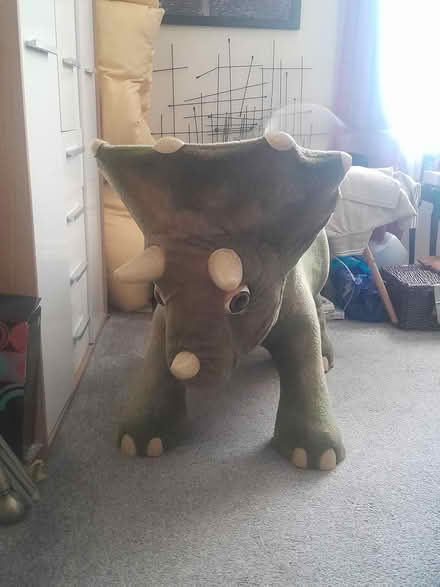 Photo of free Kota the Triceratop (Keighley BD20) #2