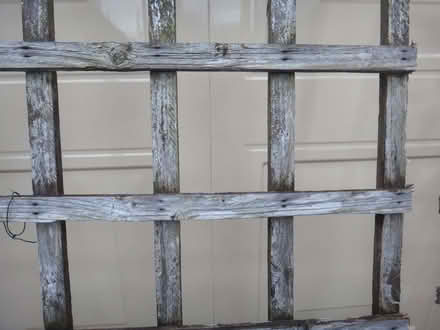 Photo of free WOODEN GARDEN TRELLIS x 2 (Blackhall EH4) #2