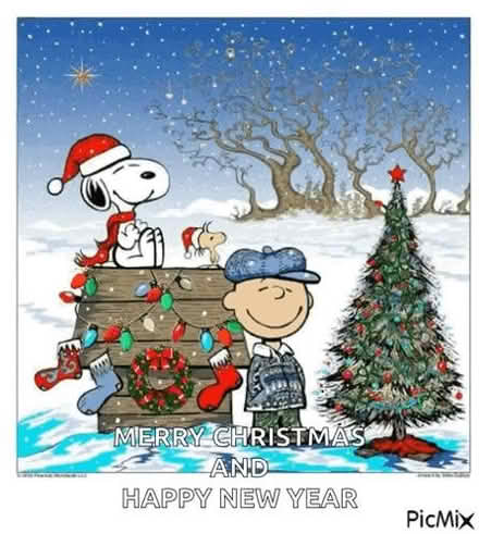 Photo of Snoopy items (Boscombe BH5) #1
