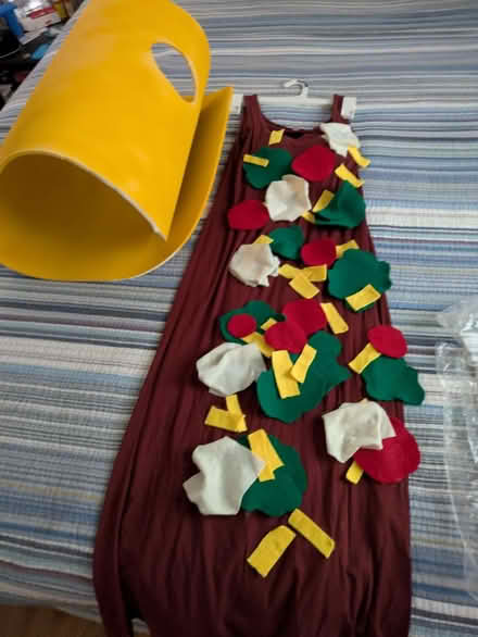 Photo of free Women's Taco Costume Sizes 2-6 (Takoma DC) #1