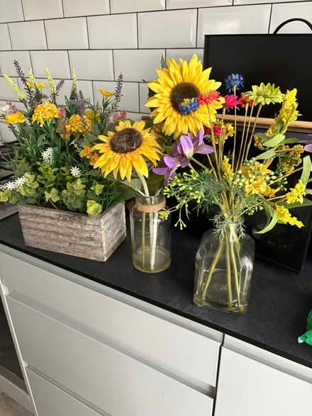 Photo of free Bottle for decoration. Three sets of artificial plants. (Palmers Green N13) #2