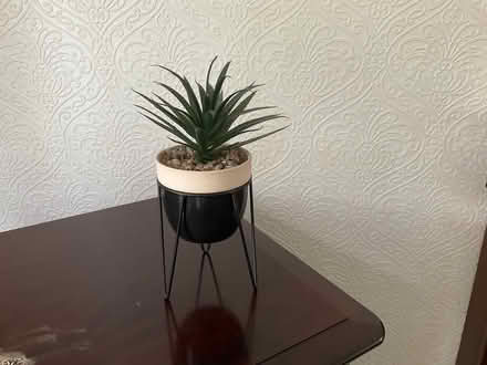 Photo of free Artificial plant in stand (Sale M33) #1