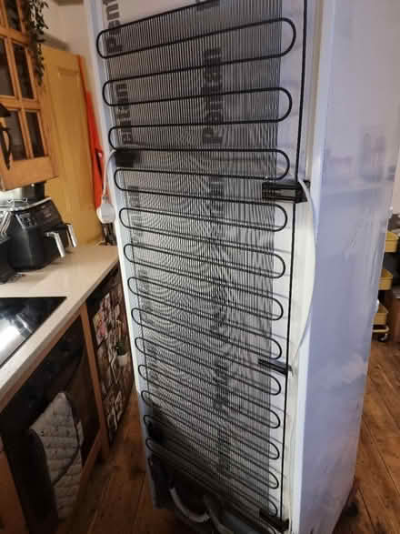 Photo of free Bosch fridge freezer (Hillsborough S6) #4
