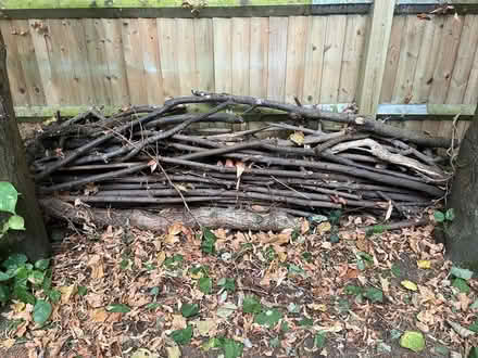 Photo of free Large pile of tree branches (Wellingborough NN8) #1