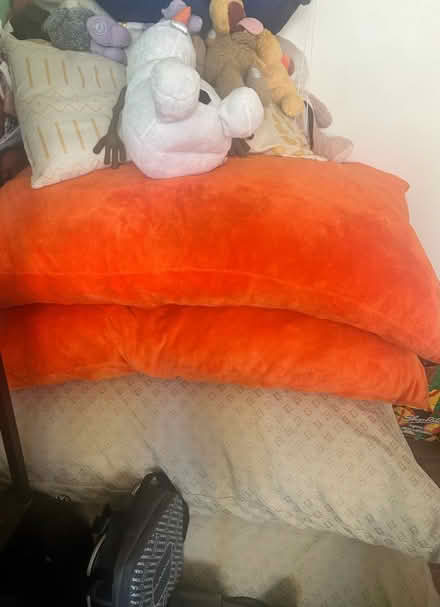 Photo of free Large pillows (ENY brooklyn) #1