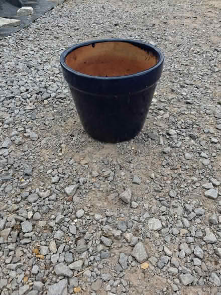 Photo of free Garden pot (Wimborne,Colehill) #1