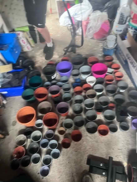 Photo of free A lot of plants lots of colours (South Dublin) #1