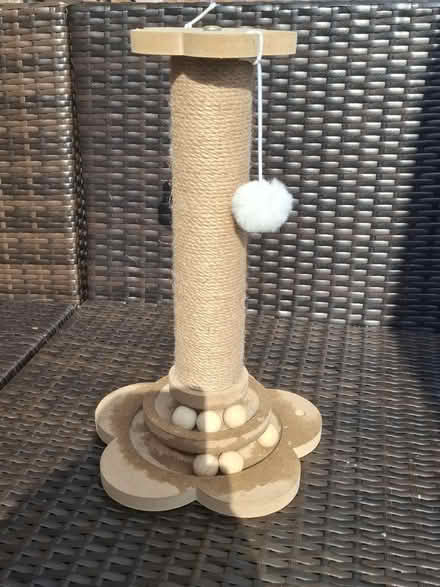 Photo of free Cat scratching post (Fairfield Buxton SK17 7) #1