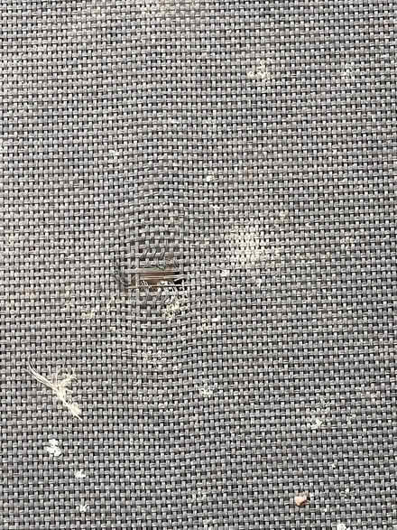 Photo of free Trampoline (Impington CB24) #2