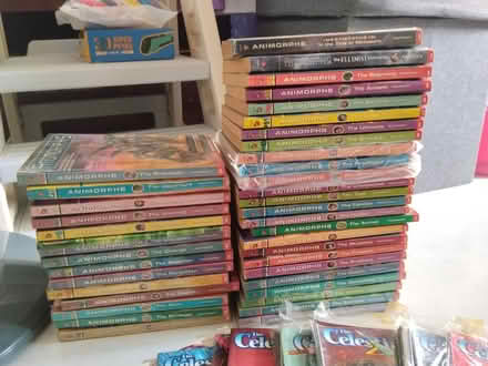 Photo of free Animorphs books not complete (kovan mrt) #1