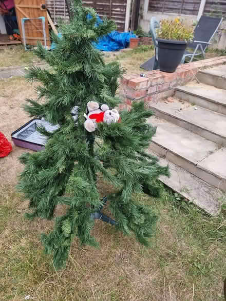 Photo of free Christmas tree (Oakwood LS8) #1