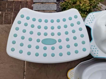 Photo of free Potty Set (Bradway, S17) #3