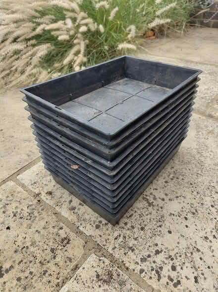 Photo of free 12 plant trays (South Hitchin, SG4 9) #1