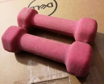 Photo of free 2x 0.5kg dumbell style weights (Blaydon NE21) #1